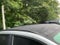 2024 Lexus RX 500h F SPORT Performance