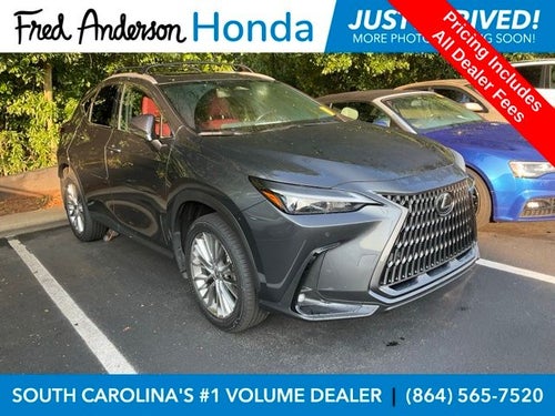 2025 Lexus NX 350h Premium