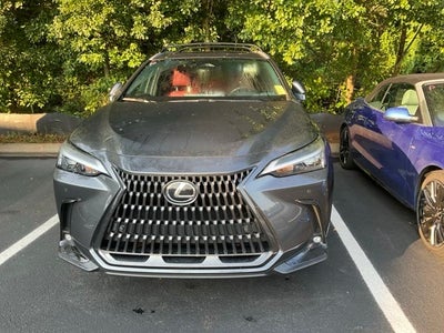 2025 Lexus NX 350h Premium