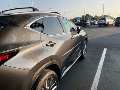 2025 Lexus NX 350h Premium