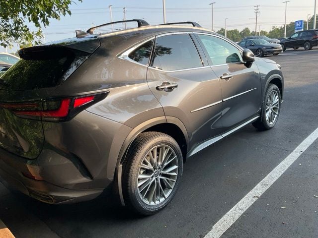 2025 Lexus NX 350h Premium