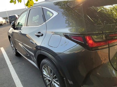 2025 Lexus NX 350h Premium