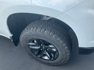 2023 Chevrolet Silverado 1500 Custom Trail Boss