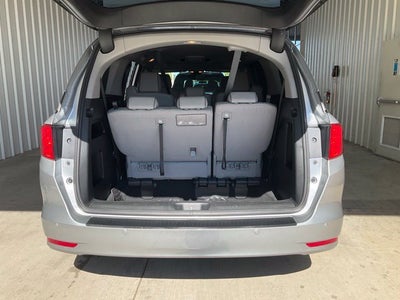 2024 Honda Odyssey Elite