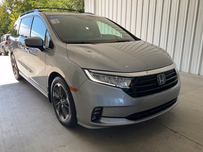 2024 Honda Odyssey Elite