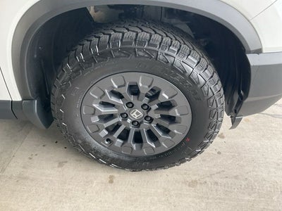 2026 Honda Passport TrailSport