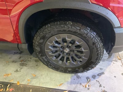 2026 Honda Passport TrailSport