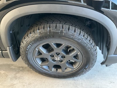 2025 Honda Pilot TrailSport