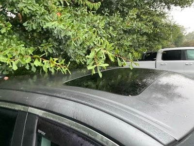 2020 INFINITI QX60 PURE