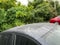 2021 BMW 5 Series M550i xDrive