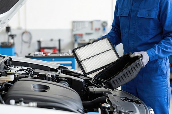 $10.00 Off Cabin & Air Filter Replacements